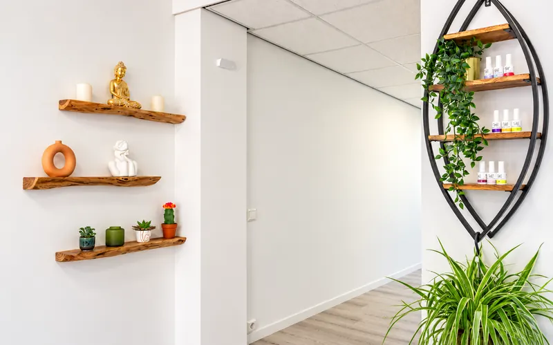 Decorative shelves and plants in the salon